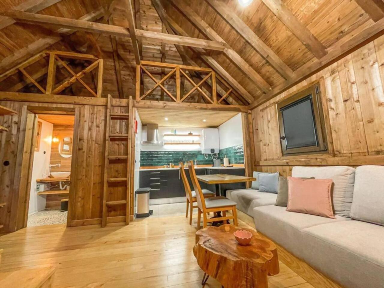 Mountain Eco Shelter 1 Hotell Funchal  Rum bild